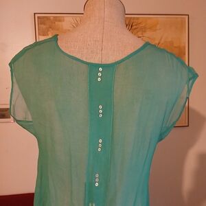 Elegant Sheer Turquoise Antique Dress